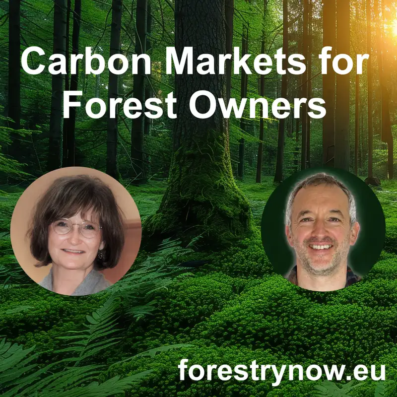 Carbon Markets for Forest Owners with Eeva-Liisa Heinaro