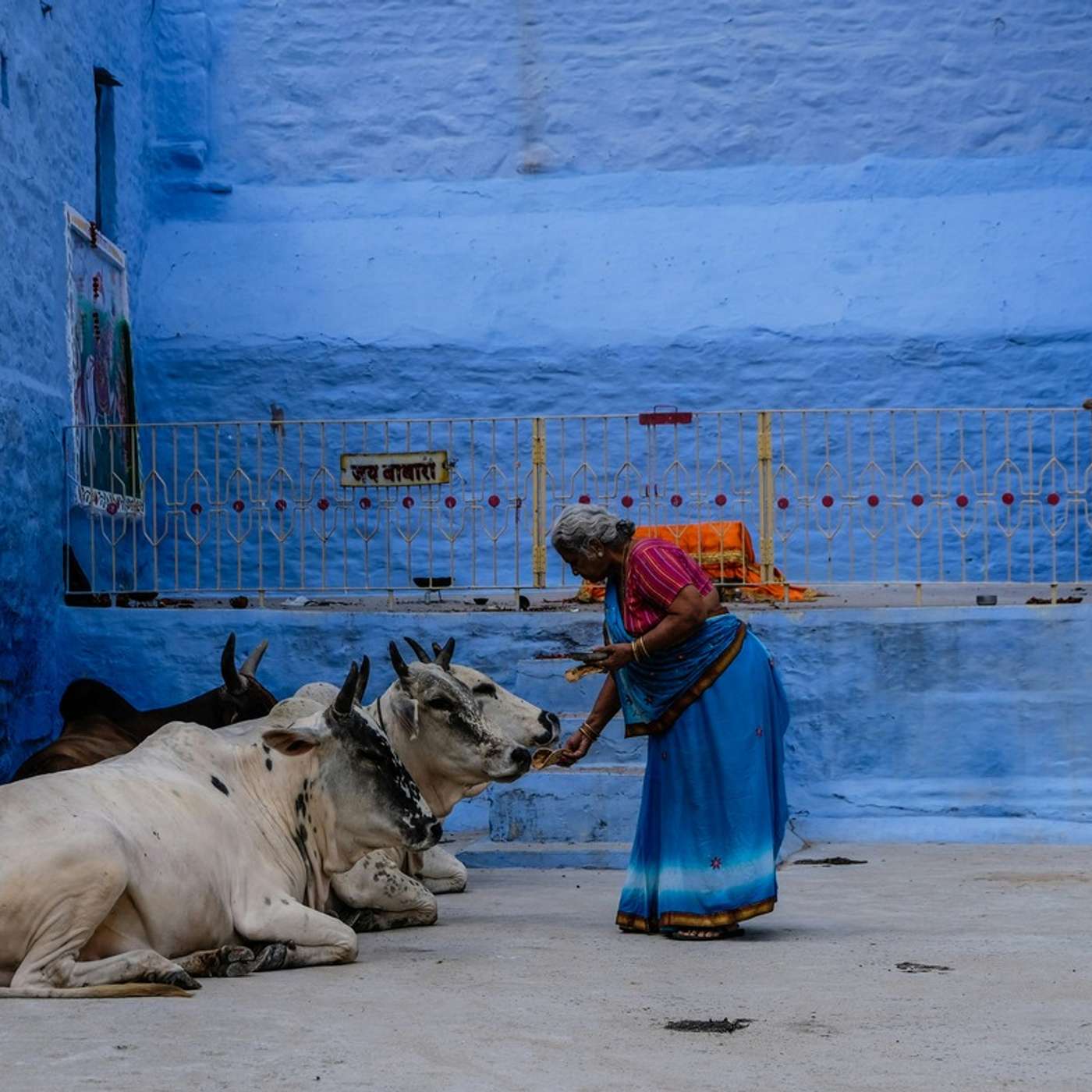 When is the best time to visit India episode artwork