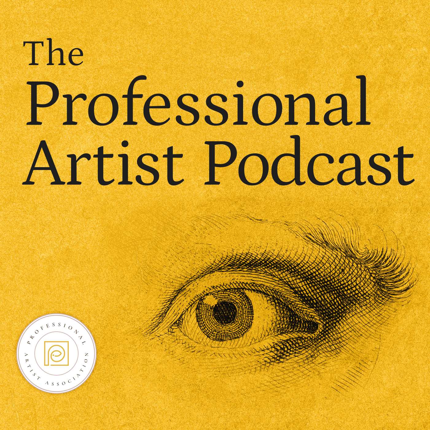 The Professional Artist Podcast: Art Business Transformations