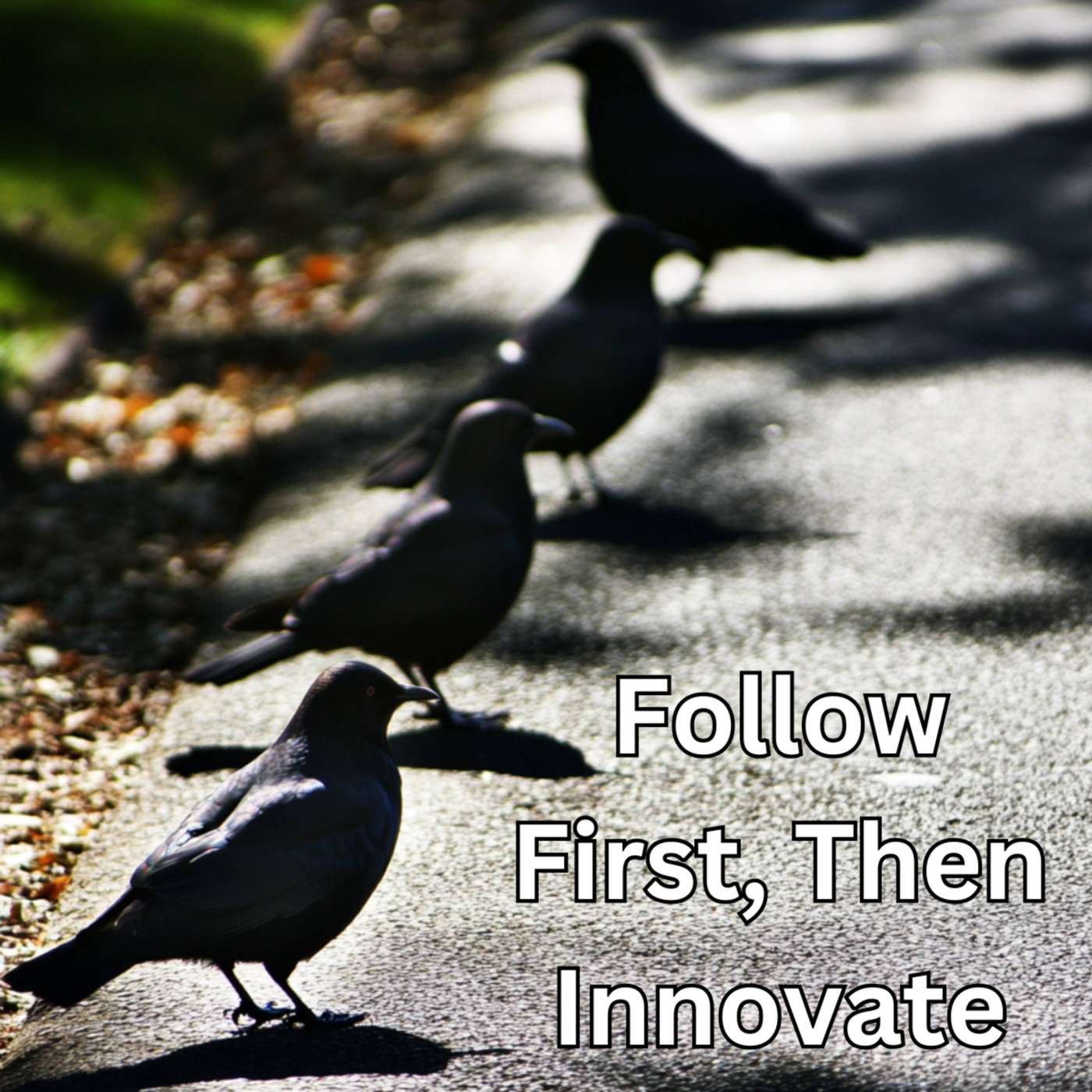 Day 103 - Follow First, Then Innovate episode artwork