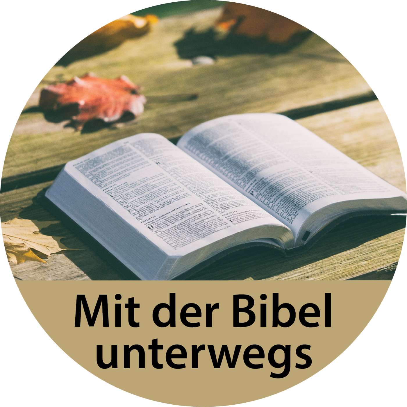 980. Der Messias im Alten Testament – Teil 16: Psalm 23 episode artwork