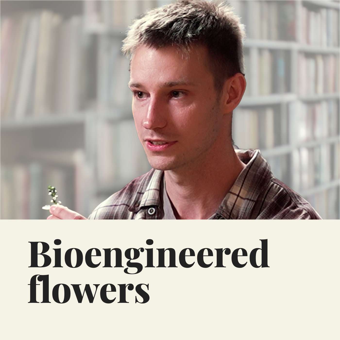 How to Design Flowers — Nick Desnoyer