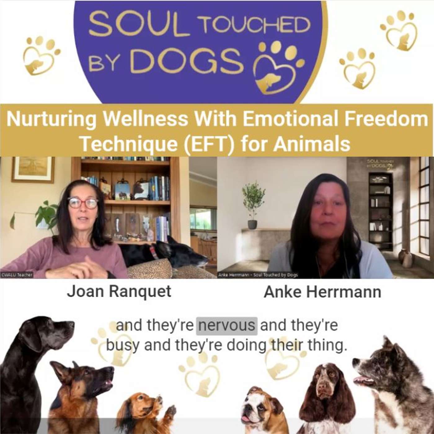 Joan Ranquet - Nurturing Wellness With Emotional Freedom Technique (EFT) for Animals