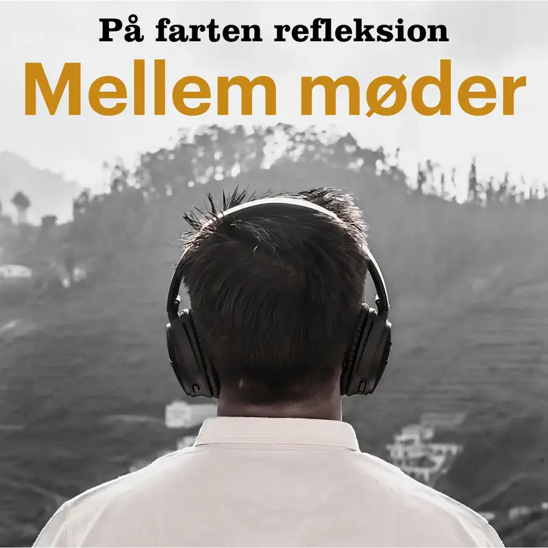02. Mellem møder - Ro på kommando