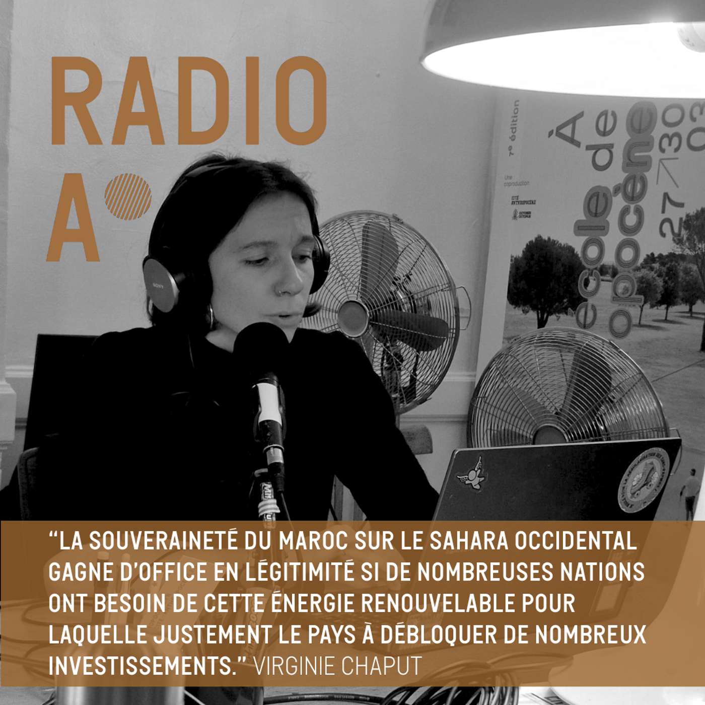 Les enjeux géopolitiques de la transition énergétique: le cas du Sahara occidental Les enjeux géopolitiques de la transition énergétique: le cas du Sahara occidental