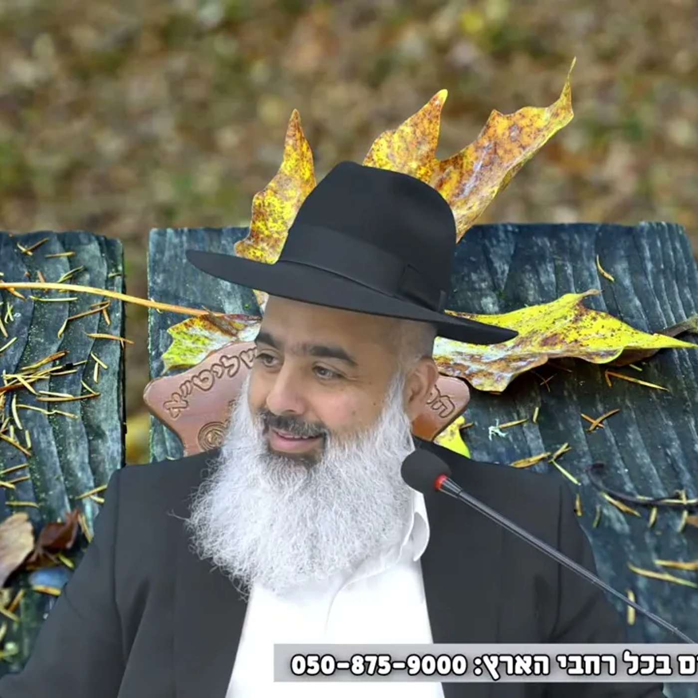 אתם תהיו בהלם למה  האישה שהייתה עקרה 20 שנים לא רצתה את ההבטחה המפורשת מהצדיק לבן זכר 🎯🎯🎯 episode artwork