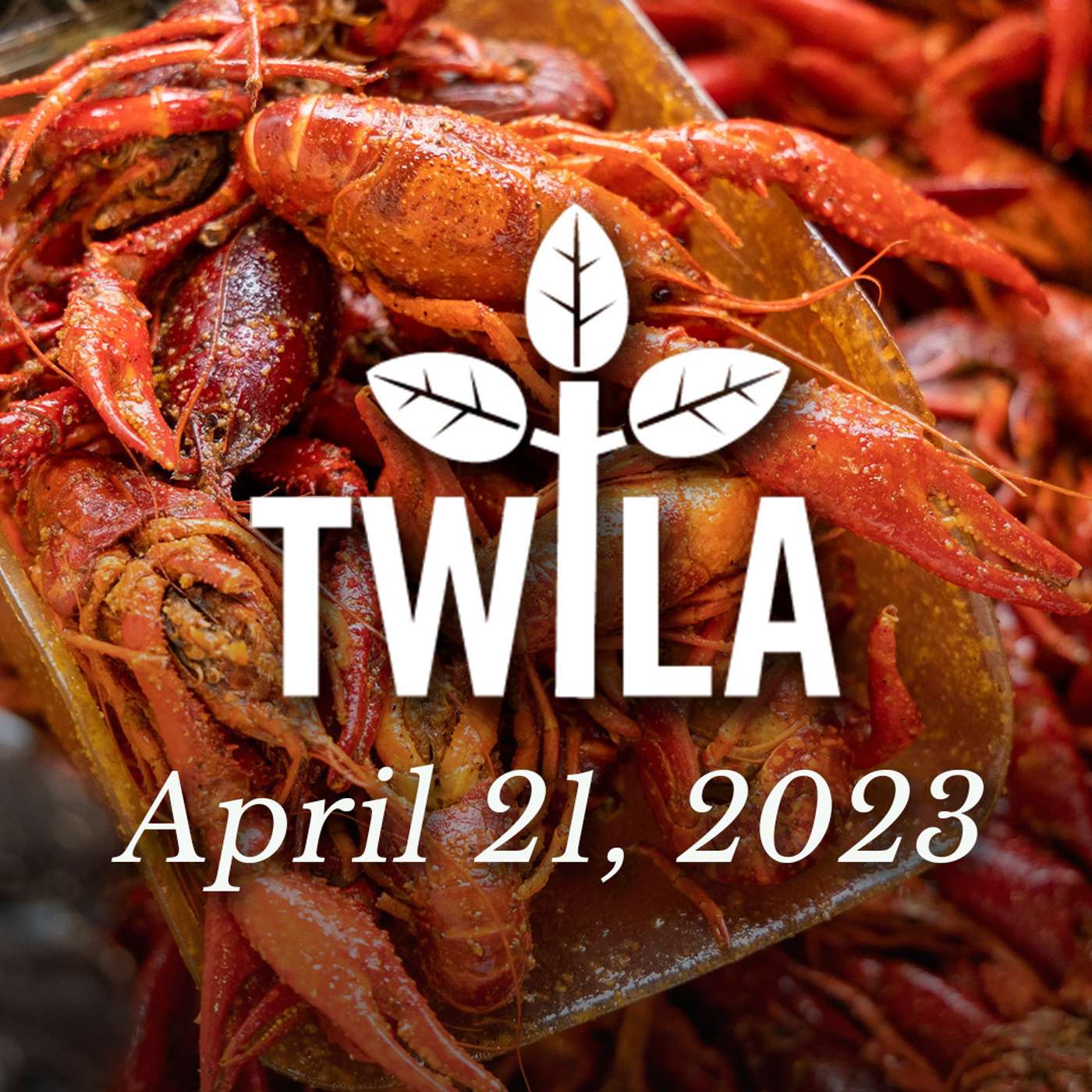 TWILA 4-21-23 episode artwork