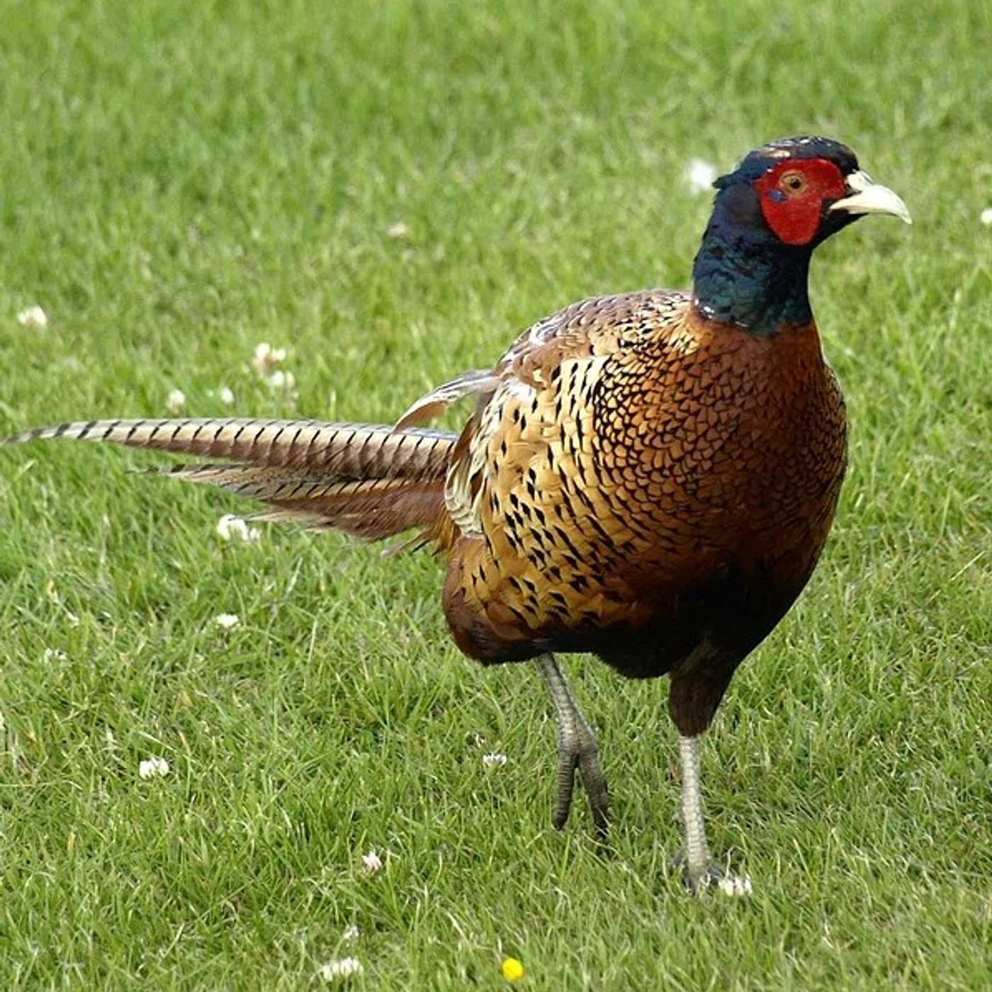 Northfield Outdoors