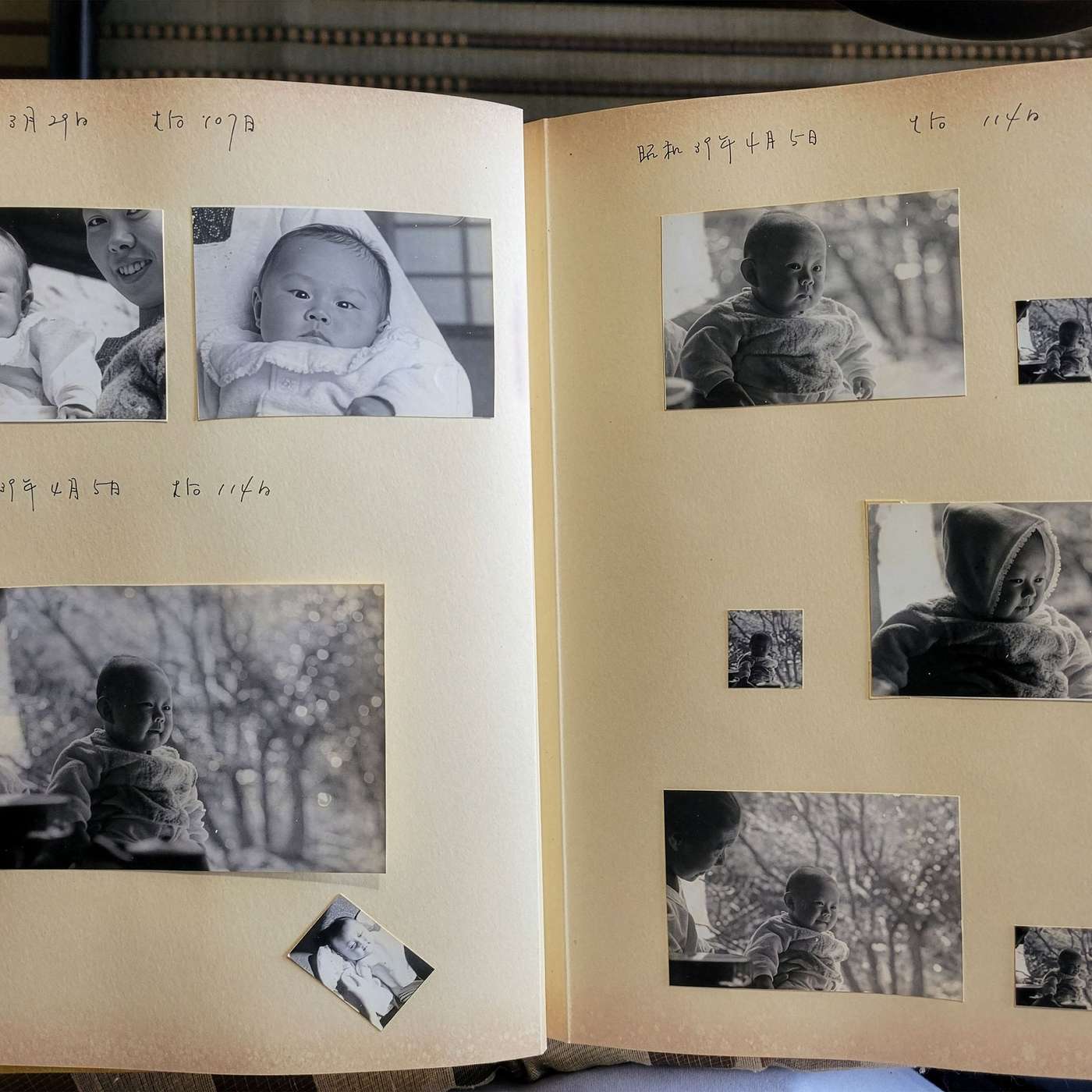 What is hidden in the photographs we keep of each other?
