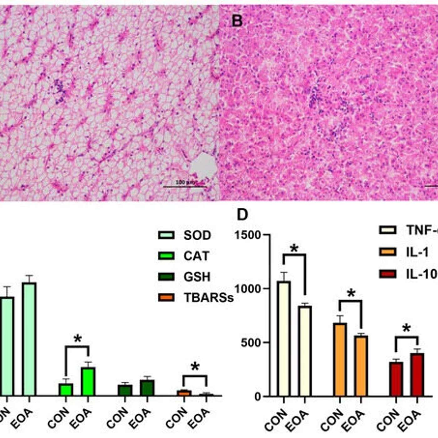 Herbal Solutions Enhance Tilapia Health, Diabetes Rates Impact Infertility, Study Urges VTE Risk Reassessment, Eco-Friendly Solvents Achieve Efficiency, and more...