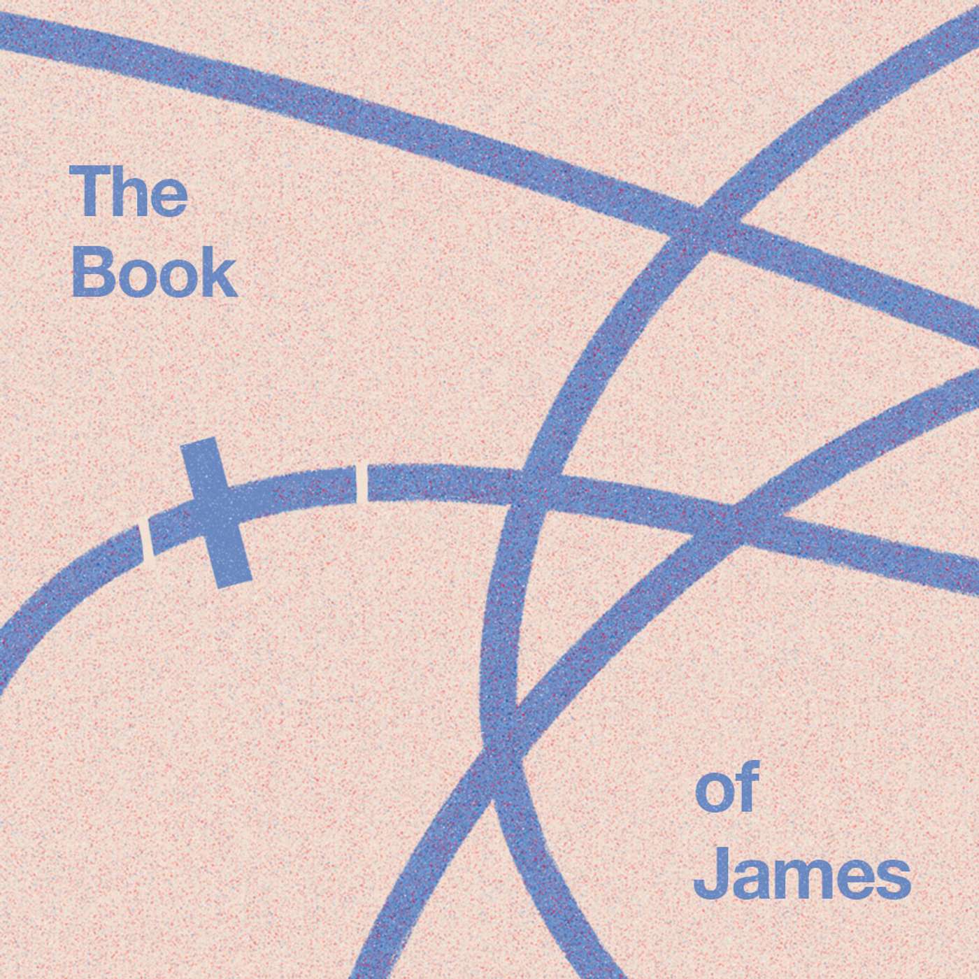 Christian Perserverance | Week 3 of James | James 1:2-4, 1:12-15, 5:7-11 episode artwork