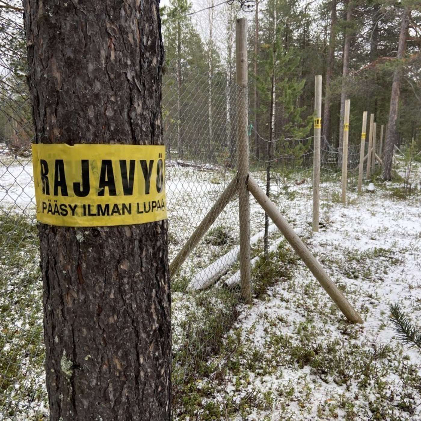 ФСБ «рекламирует» открытие границы с Финляндией. В четверг ее нарушили 18 человек.