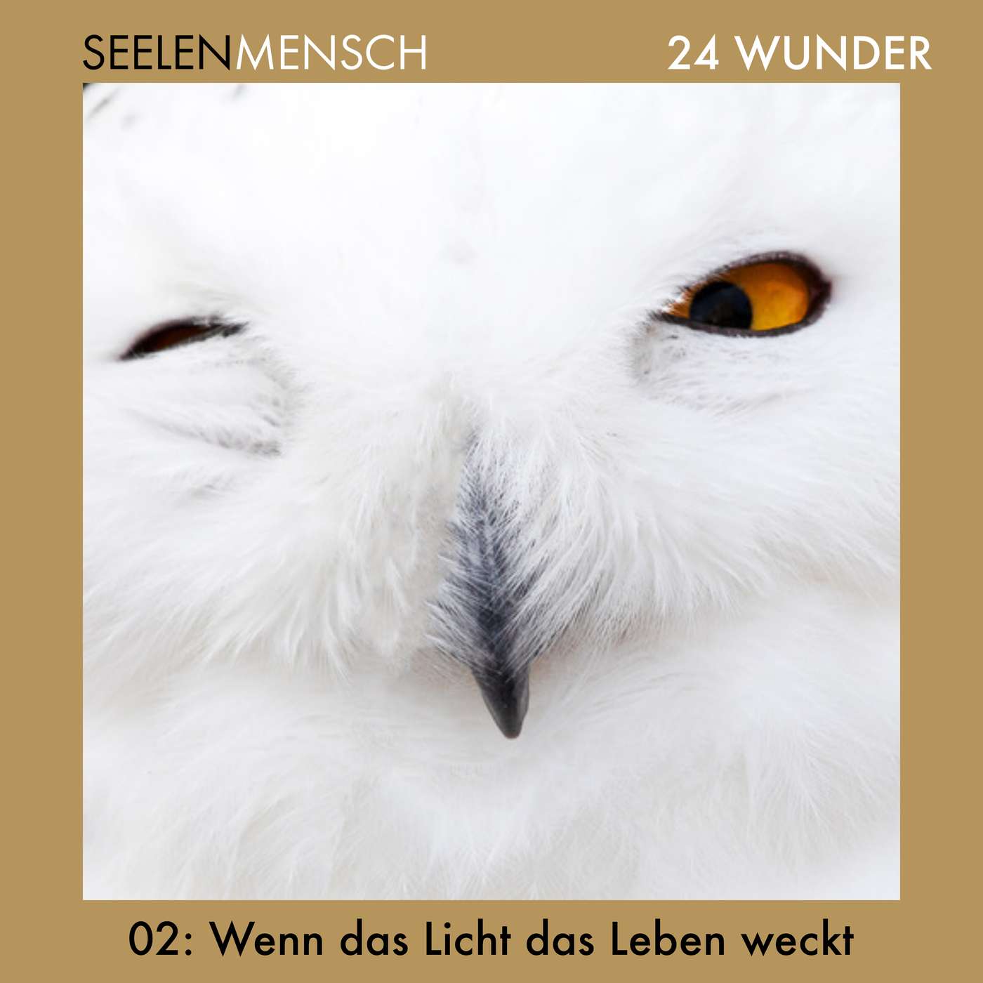 #042 2. Dezember – Wenn das Licht das Leben weckt #042 2. Dezember – Wenn das Licht das Leben weckt