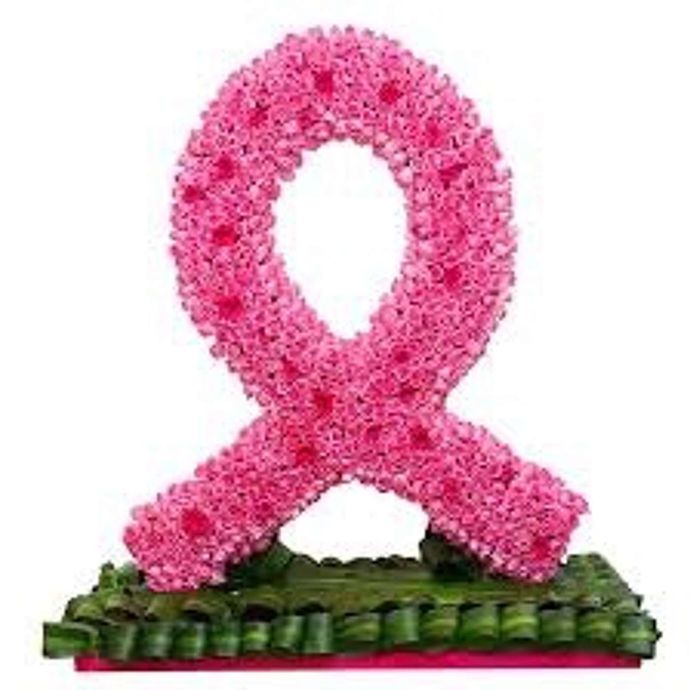 FOCP's Corporate Wellness Day and Cancer Awareness Month (27.09.20)