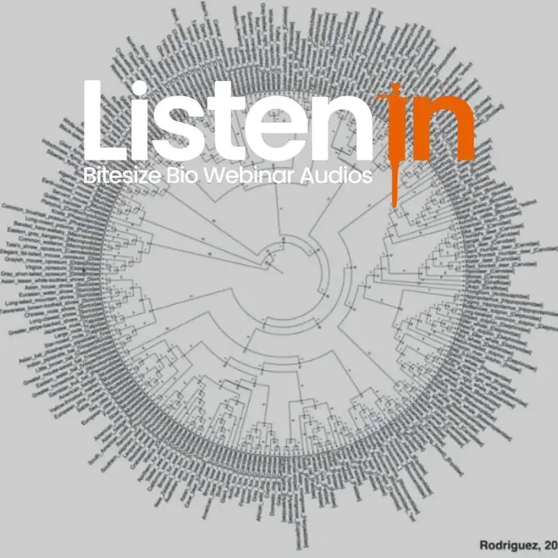 Mouse Whole-Brain Cellular Connectomics