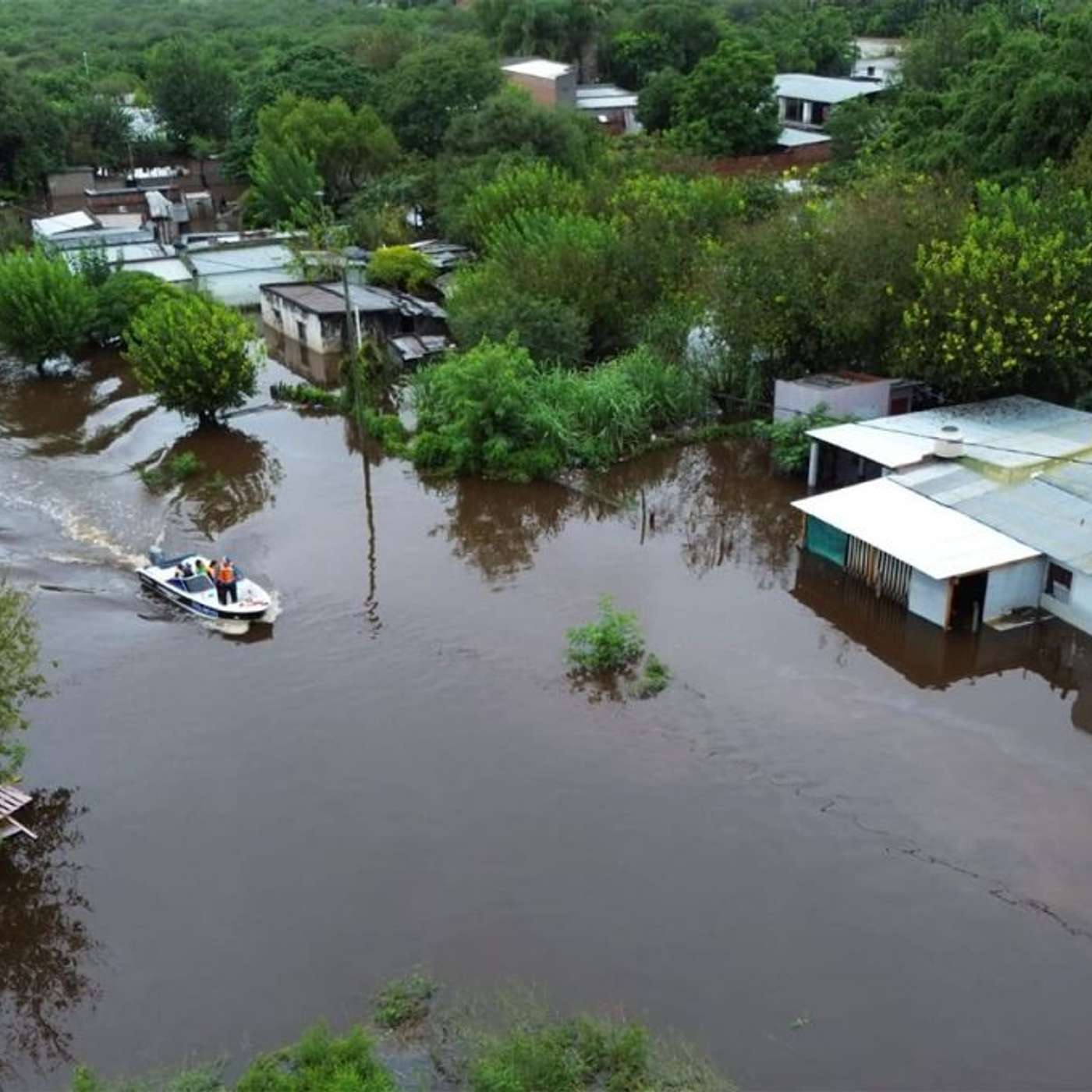 “Estaban mojados y con frío”: un rescatista voluntario salvó a una pareja de ancianos y sus siete perros