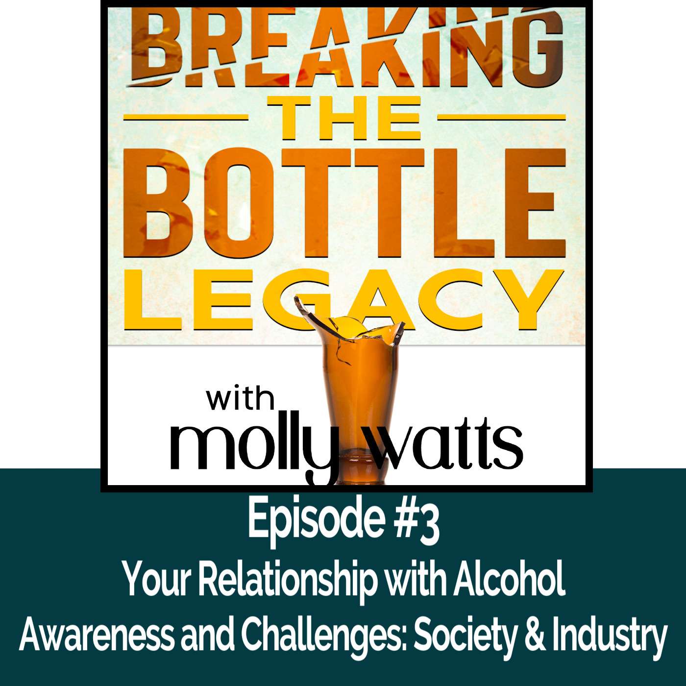 Your Relationship with Alcohol/Awareness and Challenges: Society and Industry episode artwork