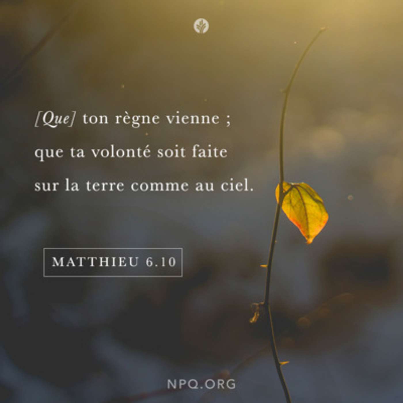 L’histoire n’est pas terminée - 23 Septembre 2022