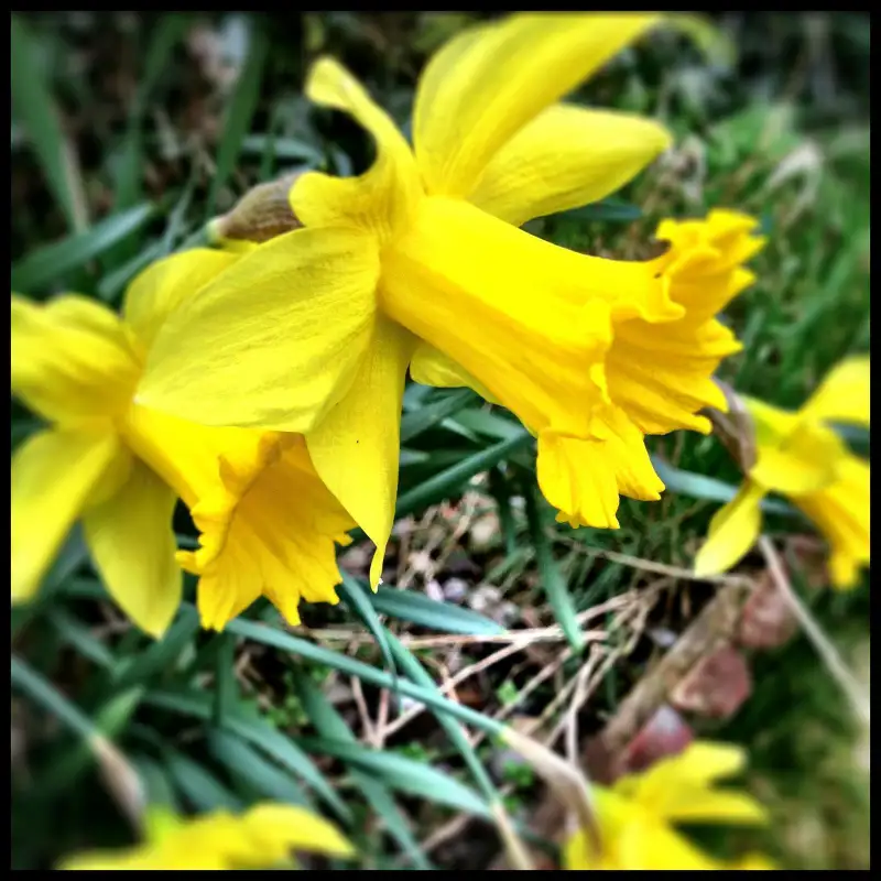 adventures in sound #001