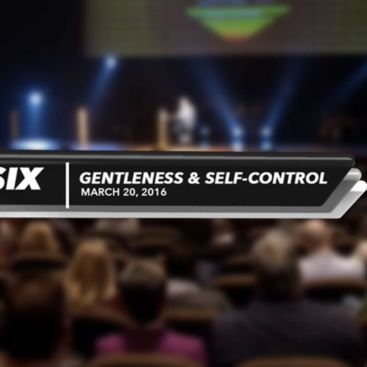 Level six – Gentleness and Self-control
