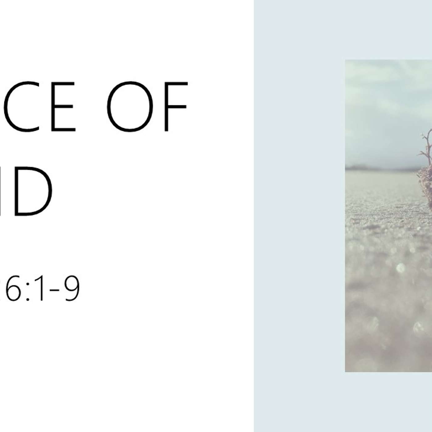 Peace of Mind | 10/06/2024 Afternoon Service