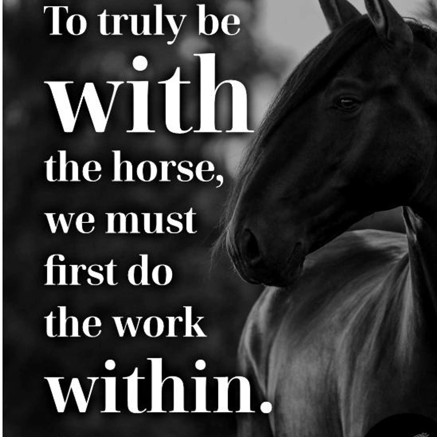 The Aligned Equestrian Project podcast artwork