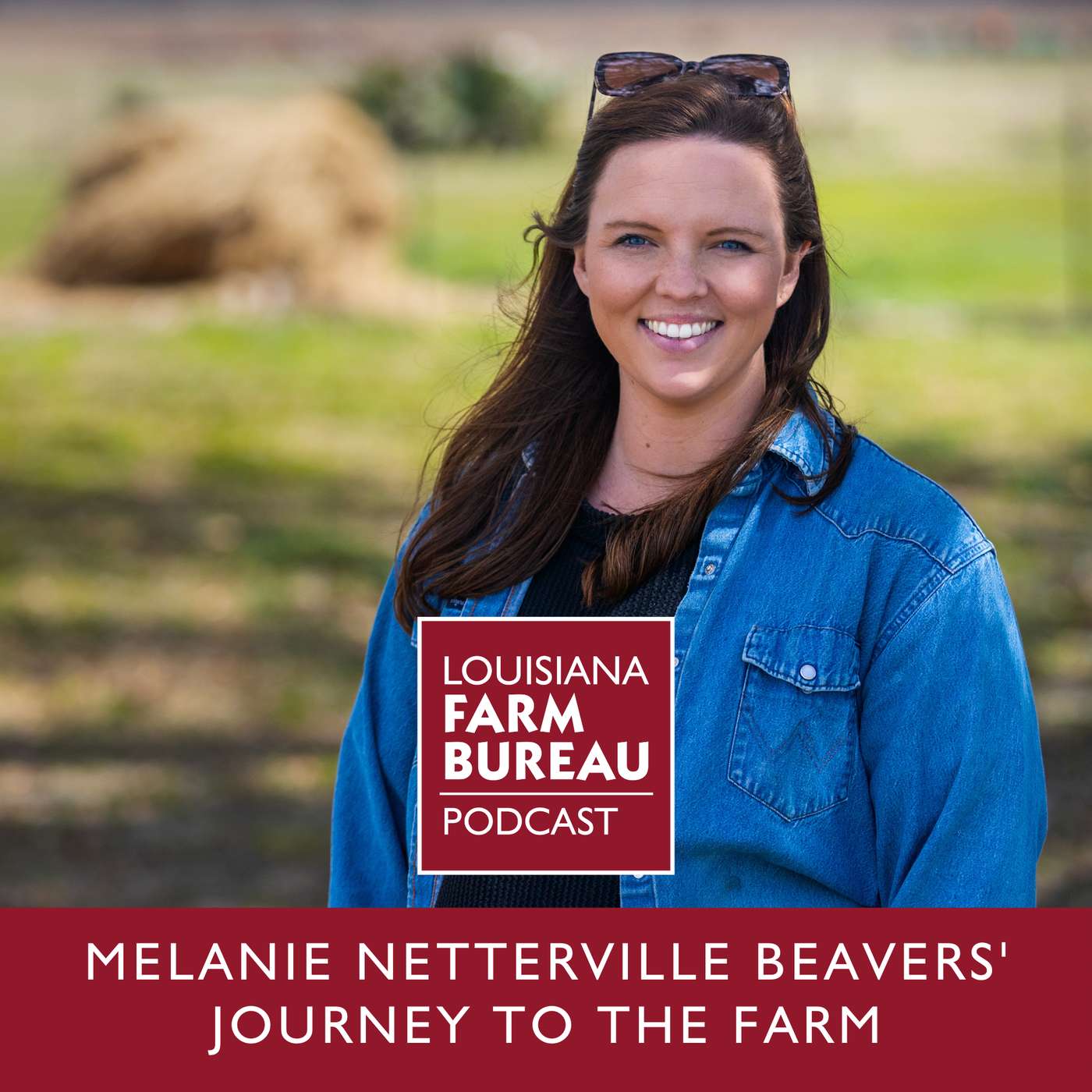 Melanie Netterville Beavers' Journey to the Farm Melanie Netterville Beavers' Journey to the Farm
