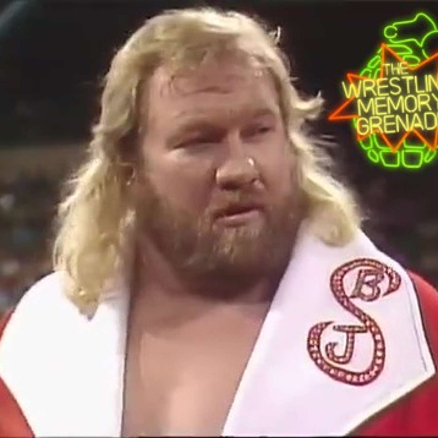 WMG 169: FINISHING THE 1988 WWF PROJECT! (12/24/88 - 1/2/89 WWF TV)