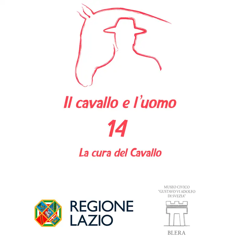 La cura del Cavallo