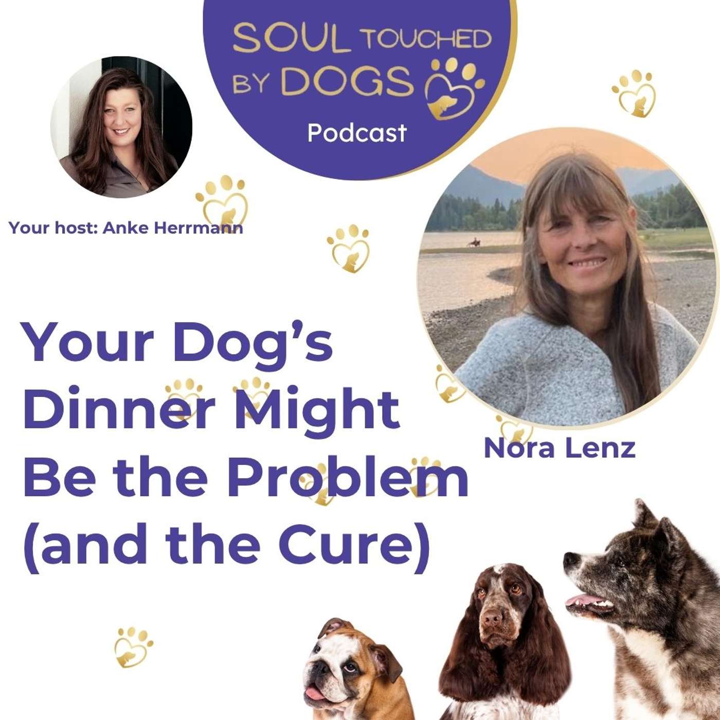 Nora Lenz - Your Dog’s Dinner Might Be the Problem (and the Cure)