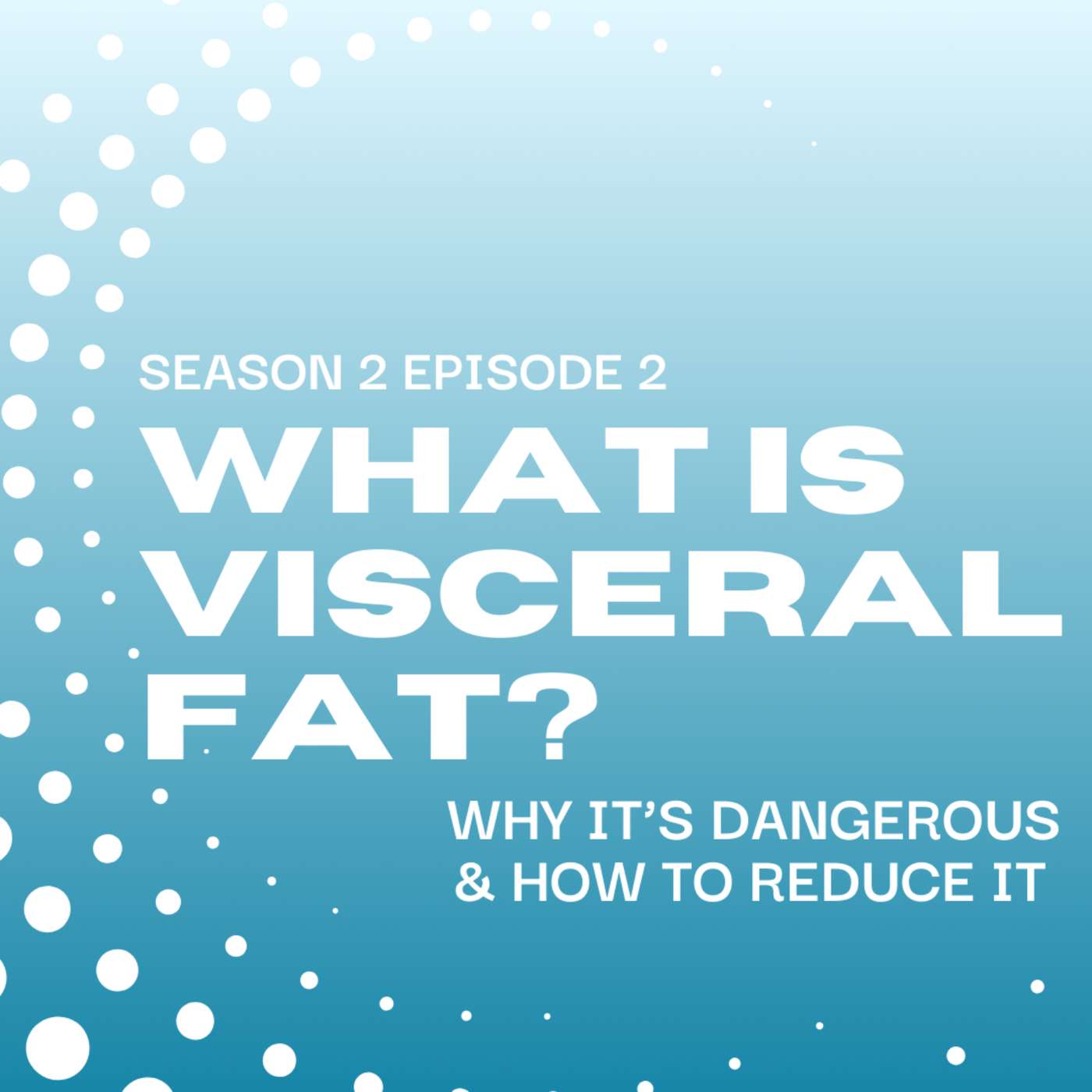 What is Visceral Fat? Why It’s Dangerous & How to Reduce It episode artwork