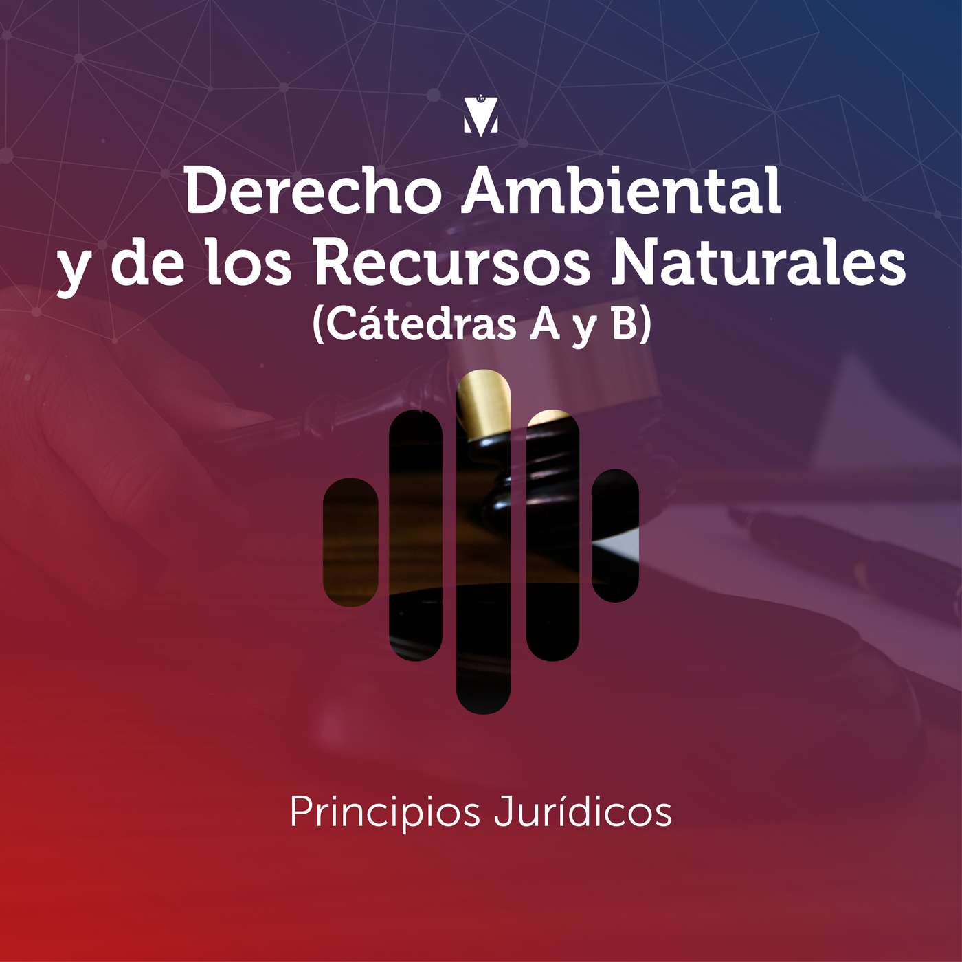 5 - DERECHO AMBIENTAL Y DE LOS RECURSOS NATURALES (CÁTEDRAS A Y B): Principios Jurídicos episode artwork