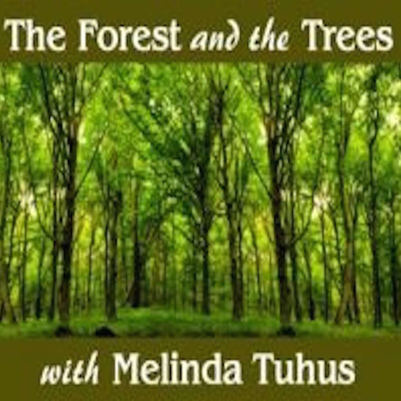 Pat Harmon (CT Vegan Center), Veganism and You