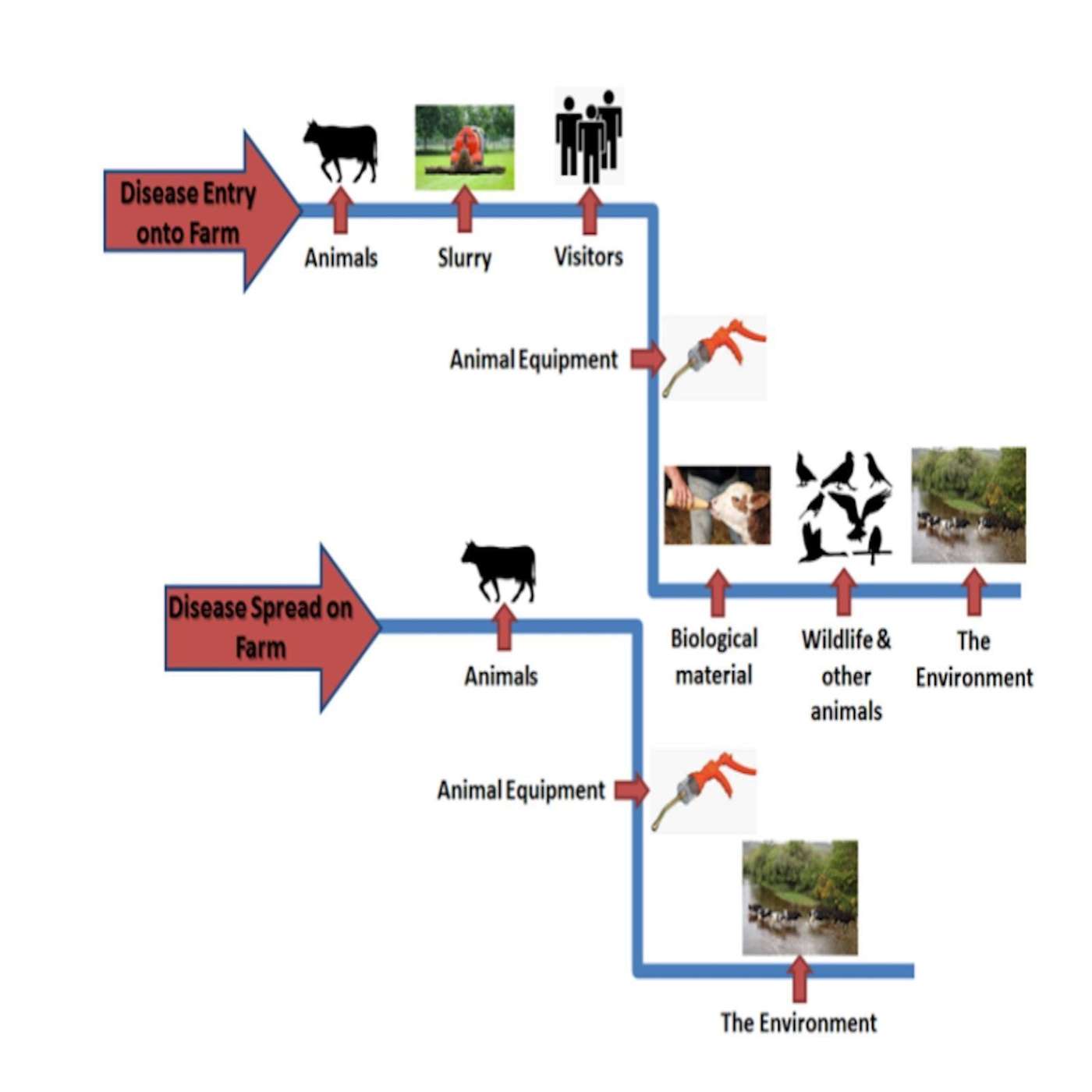 Key tips to maximise the health of your herd