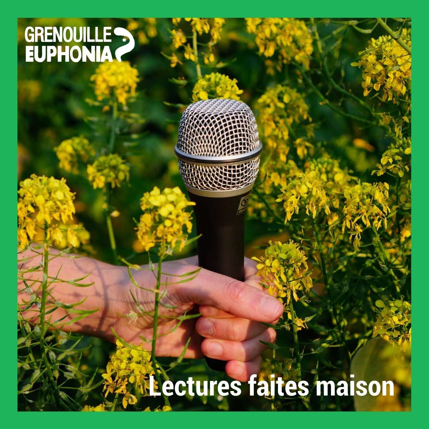 Lectures Faites Maison