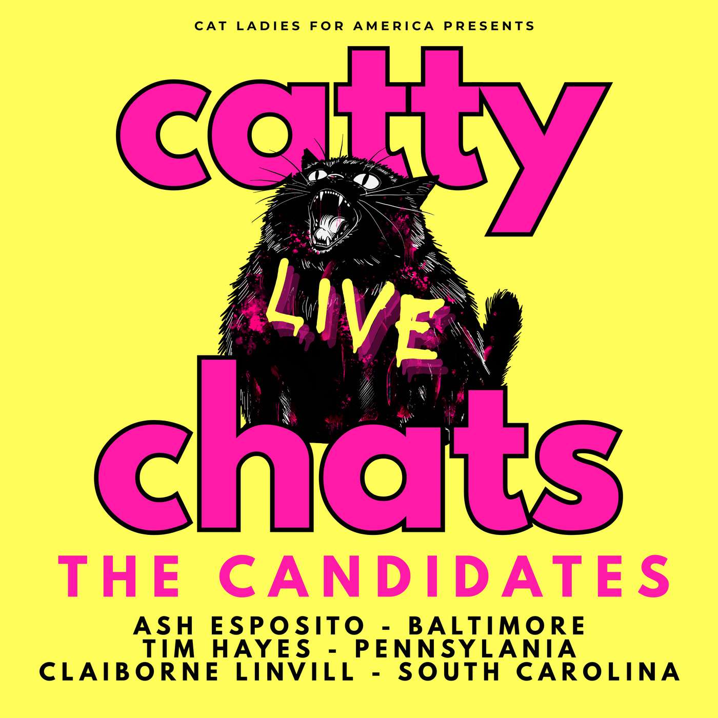 THE CANDIDATES: Down Ballot Candidates for Key Races in Baltimore, PA & SC! episode artwork