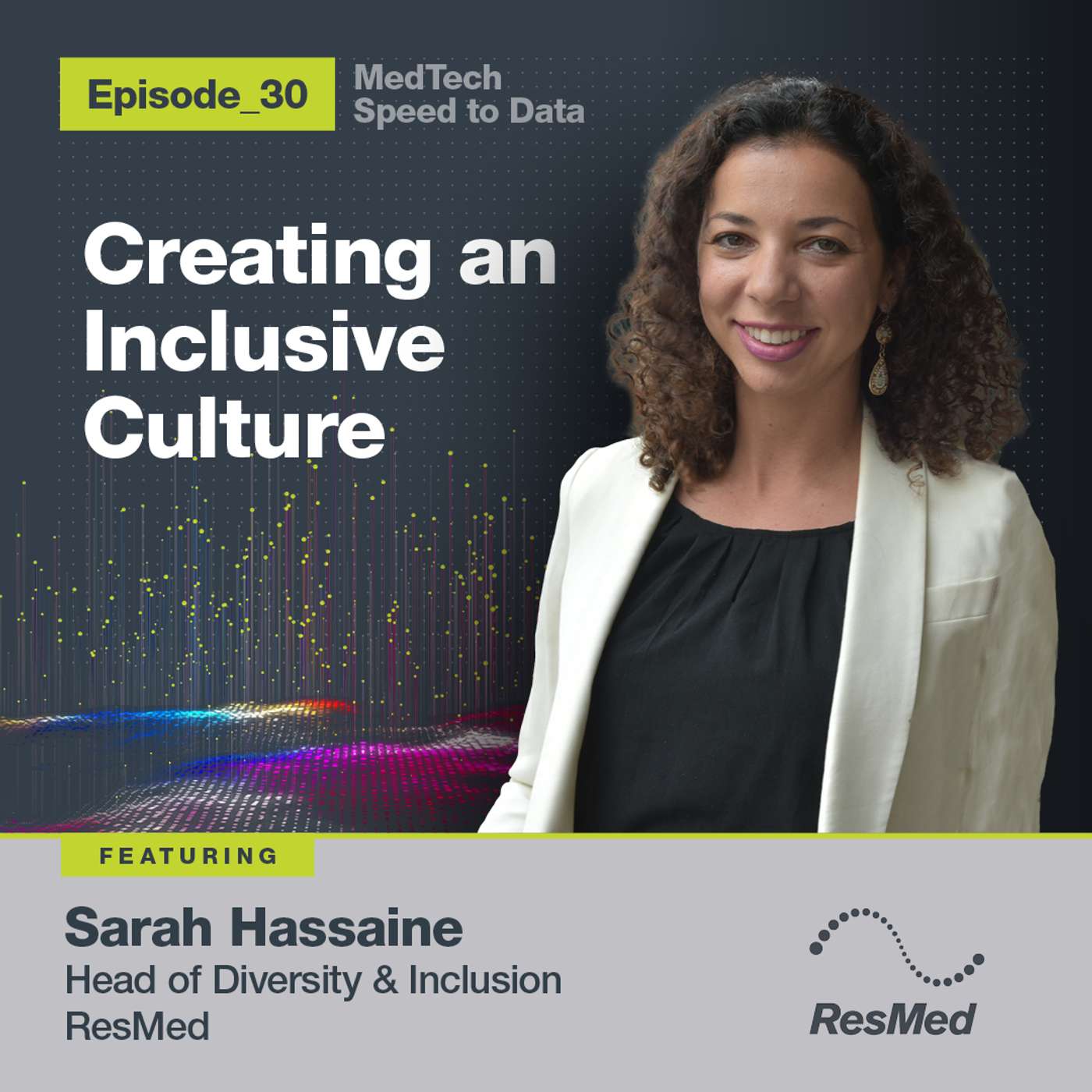 Creating an Inclusive Culture : 30