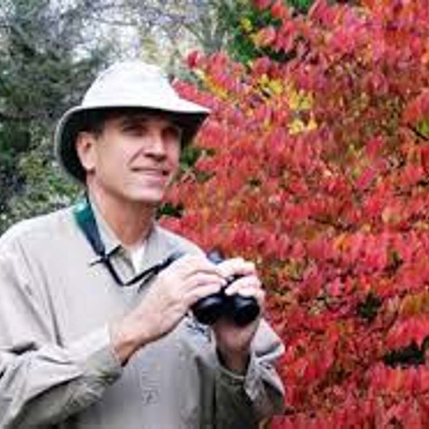 Birding with Al Batt on 10-28-2025 Birding with Al Batt on 10-28-2025