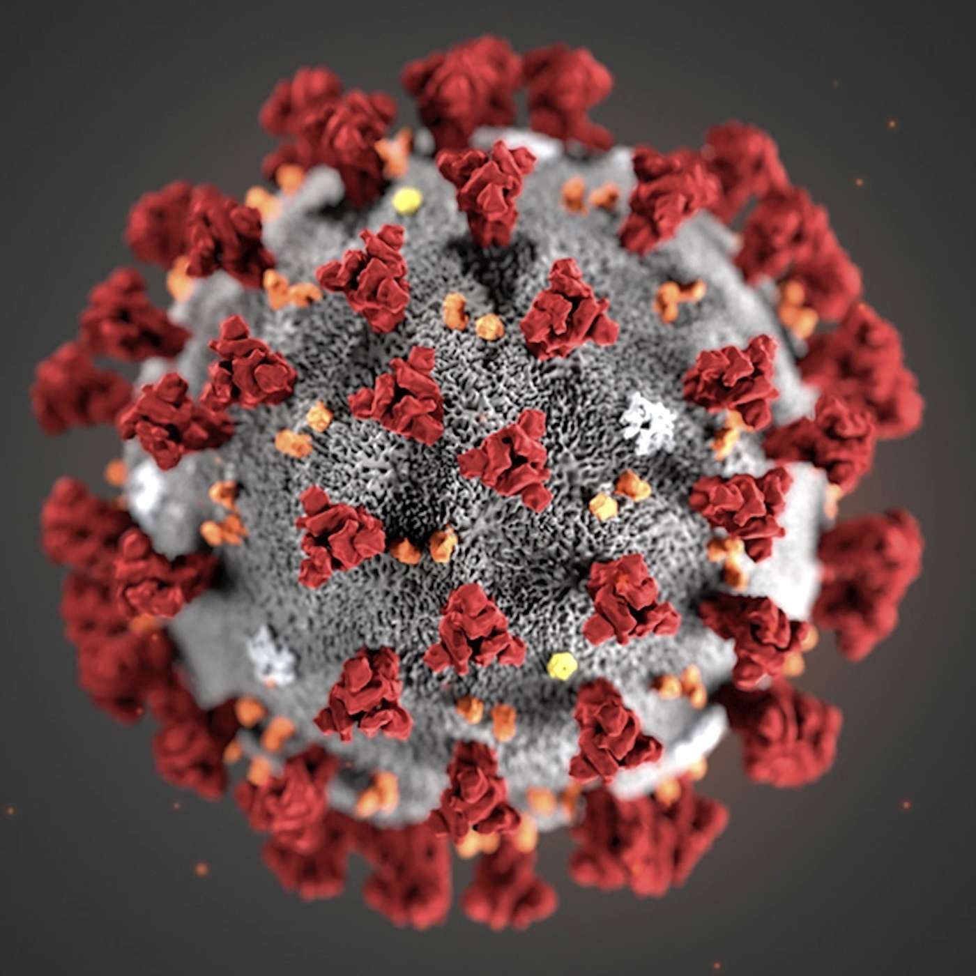 80,000 Hours Podcast