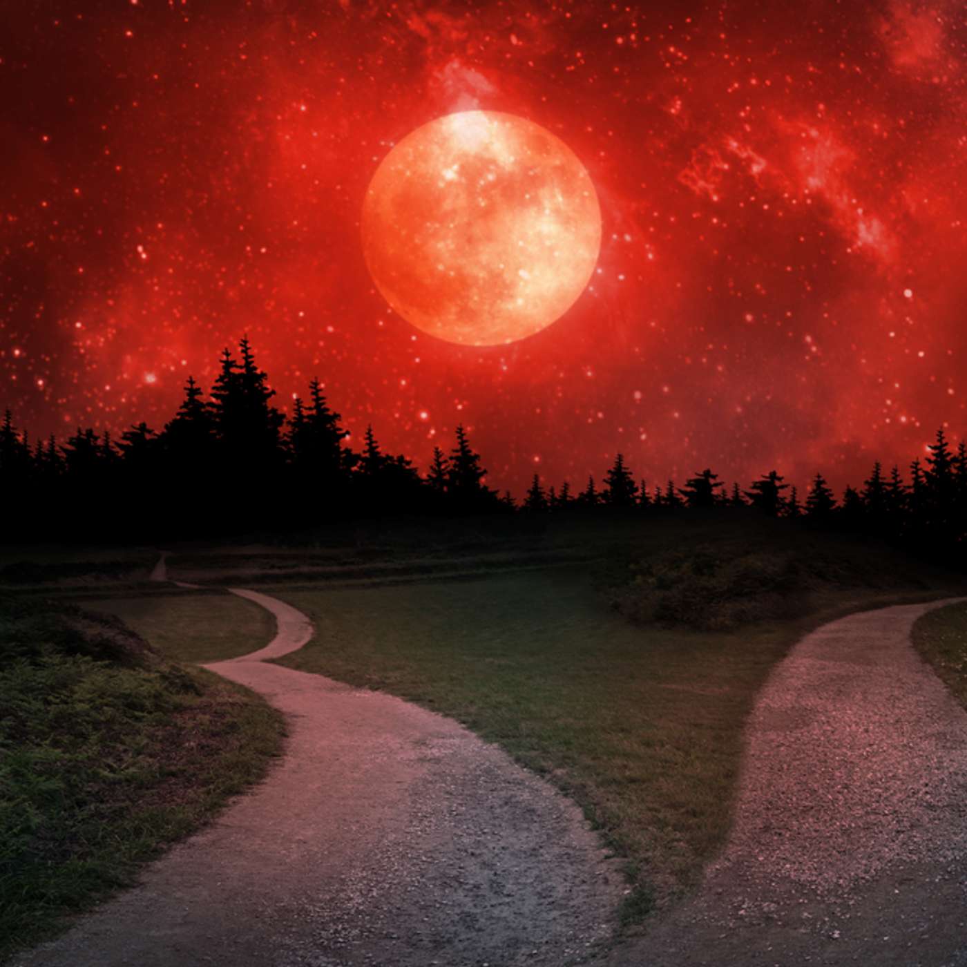 Ep. 59: Navigating the Crossroads: 5 Steps to Becoming More Decisive