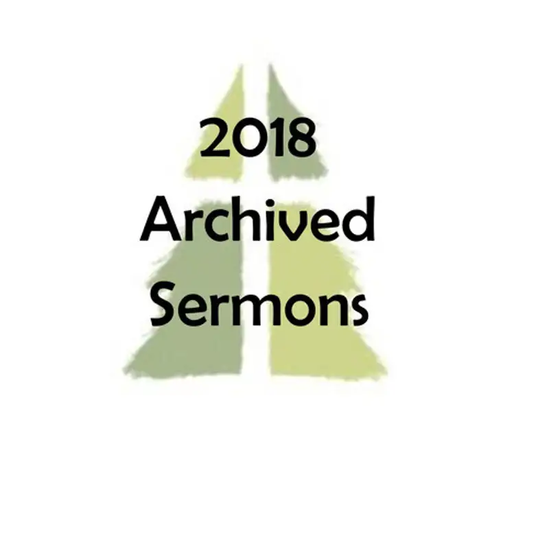 The Wisdom & Power of God