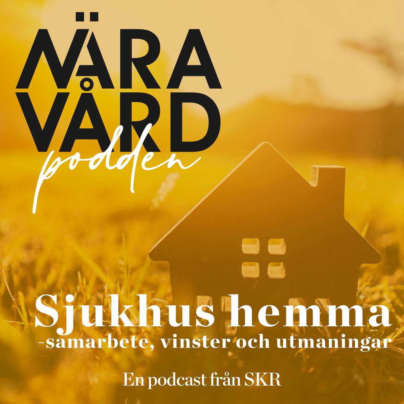 Sjukhus hemma - samarbete, vinster och utmaningar