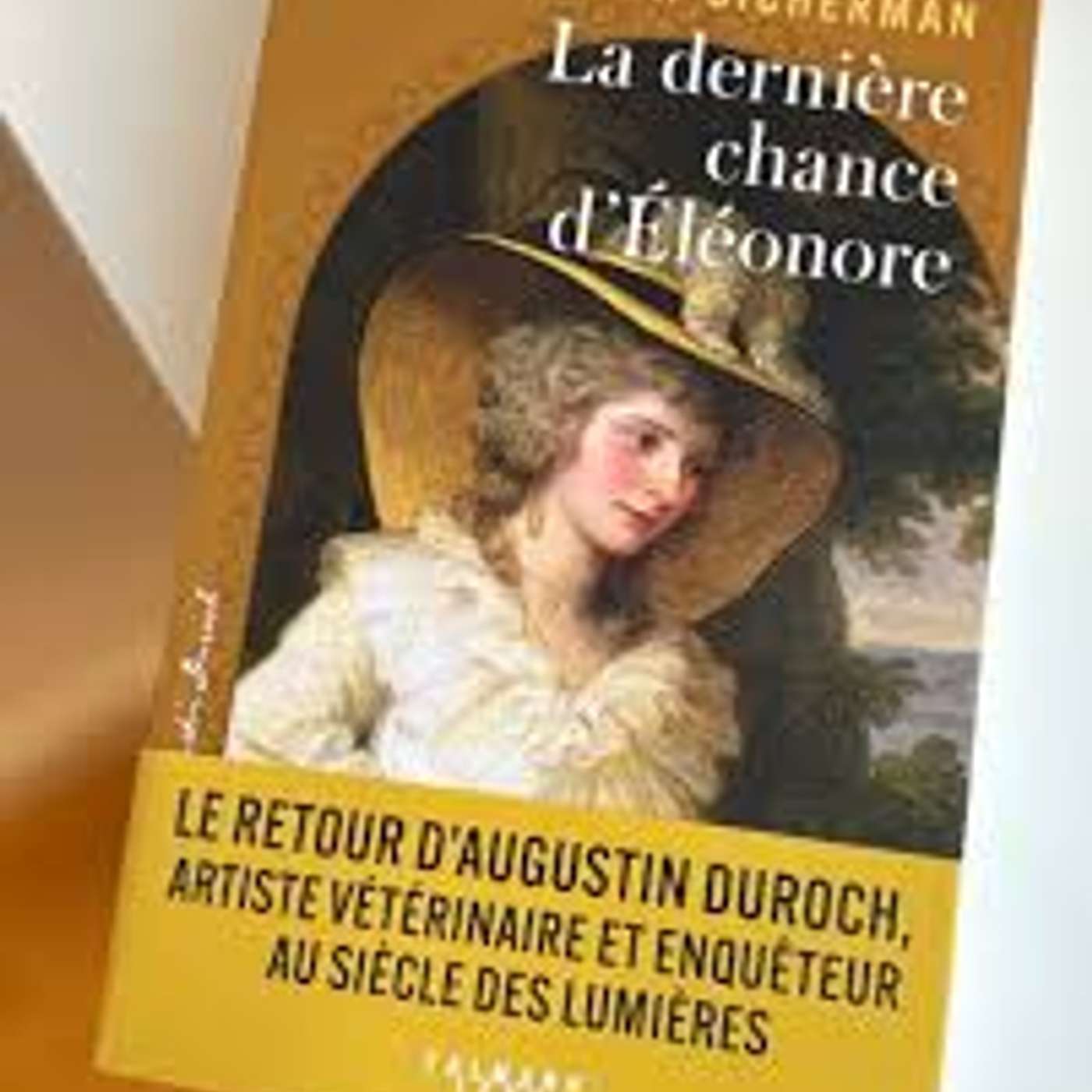 La dernière chance d’Eléonore de Anne Villemin-Sicherman ...... episode artwork