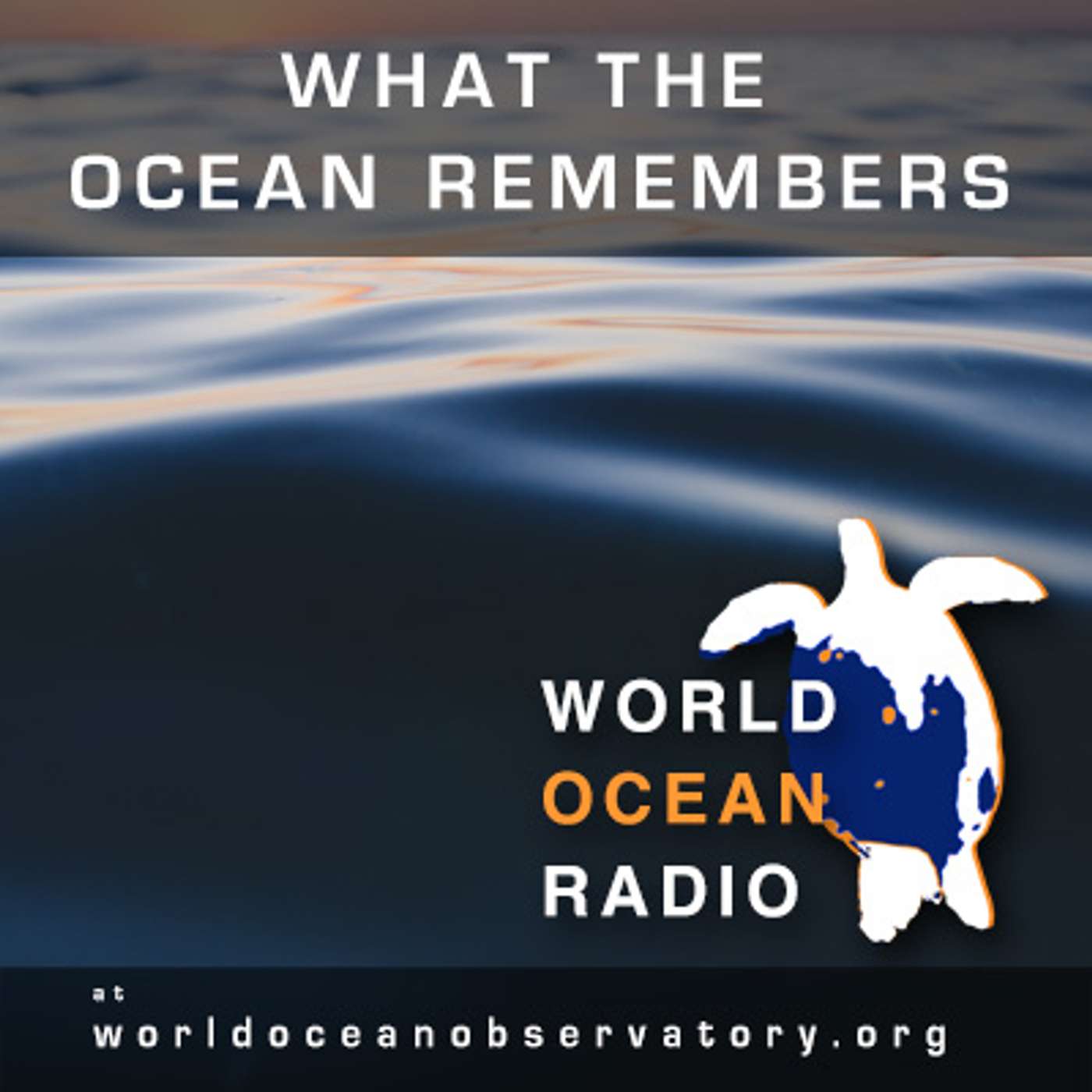 What the Ocean Remembers