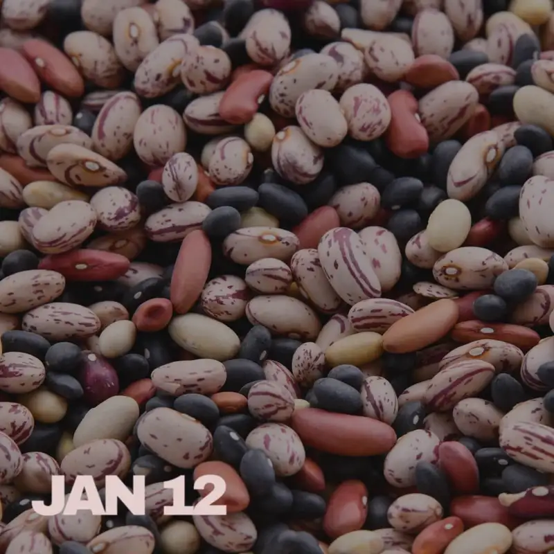 Your food is gaslighting you