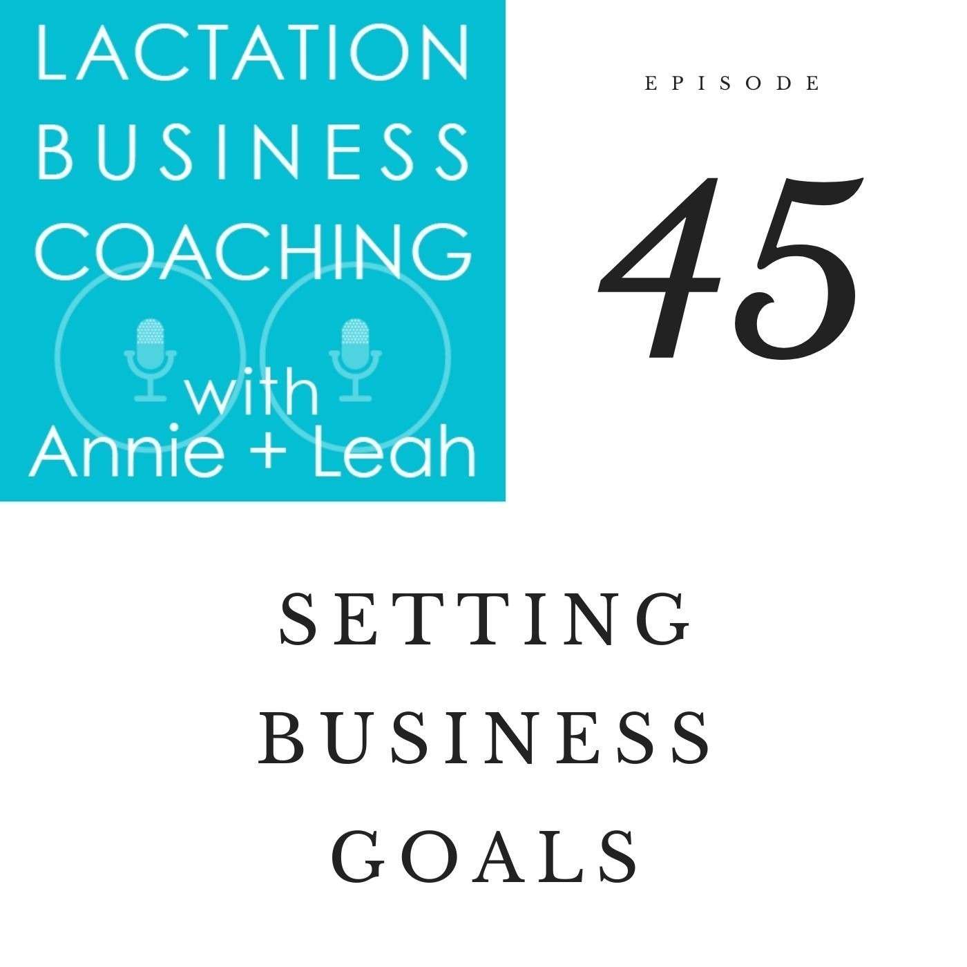 Lactation Business Coaching with Annie and Leah