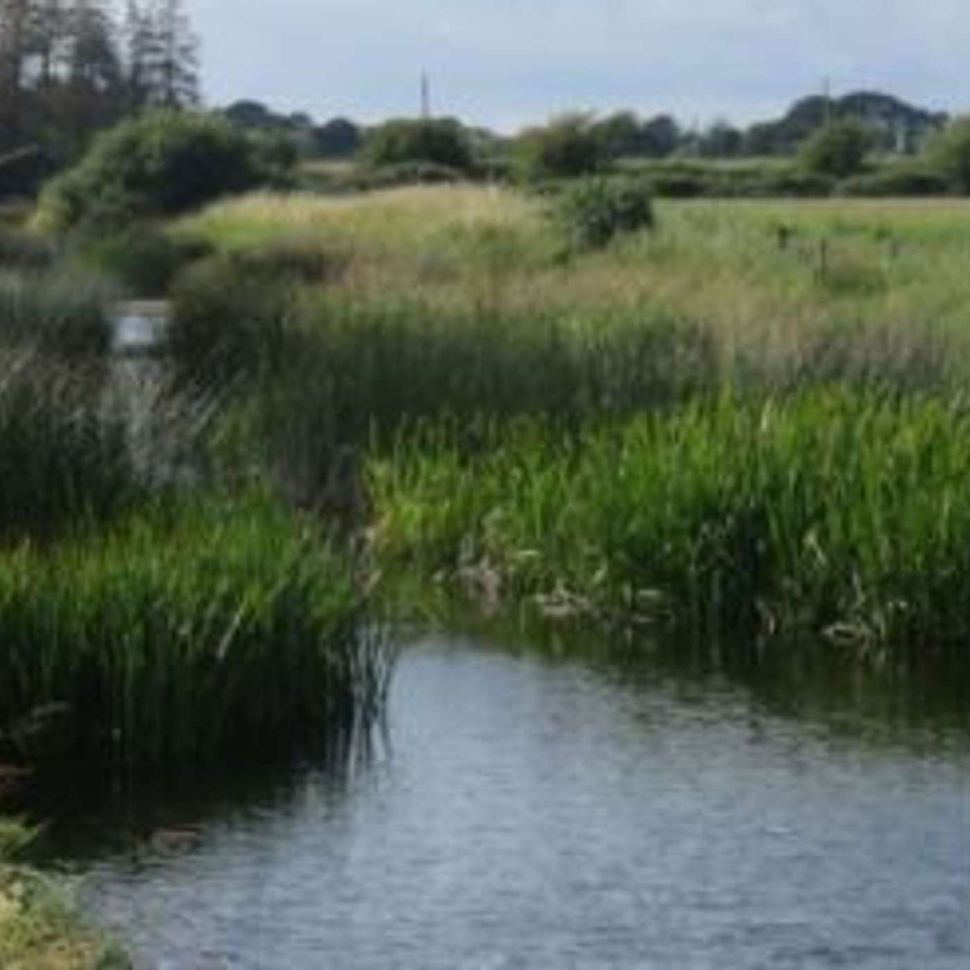 How to Maintain & Improve Water Quality