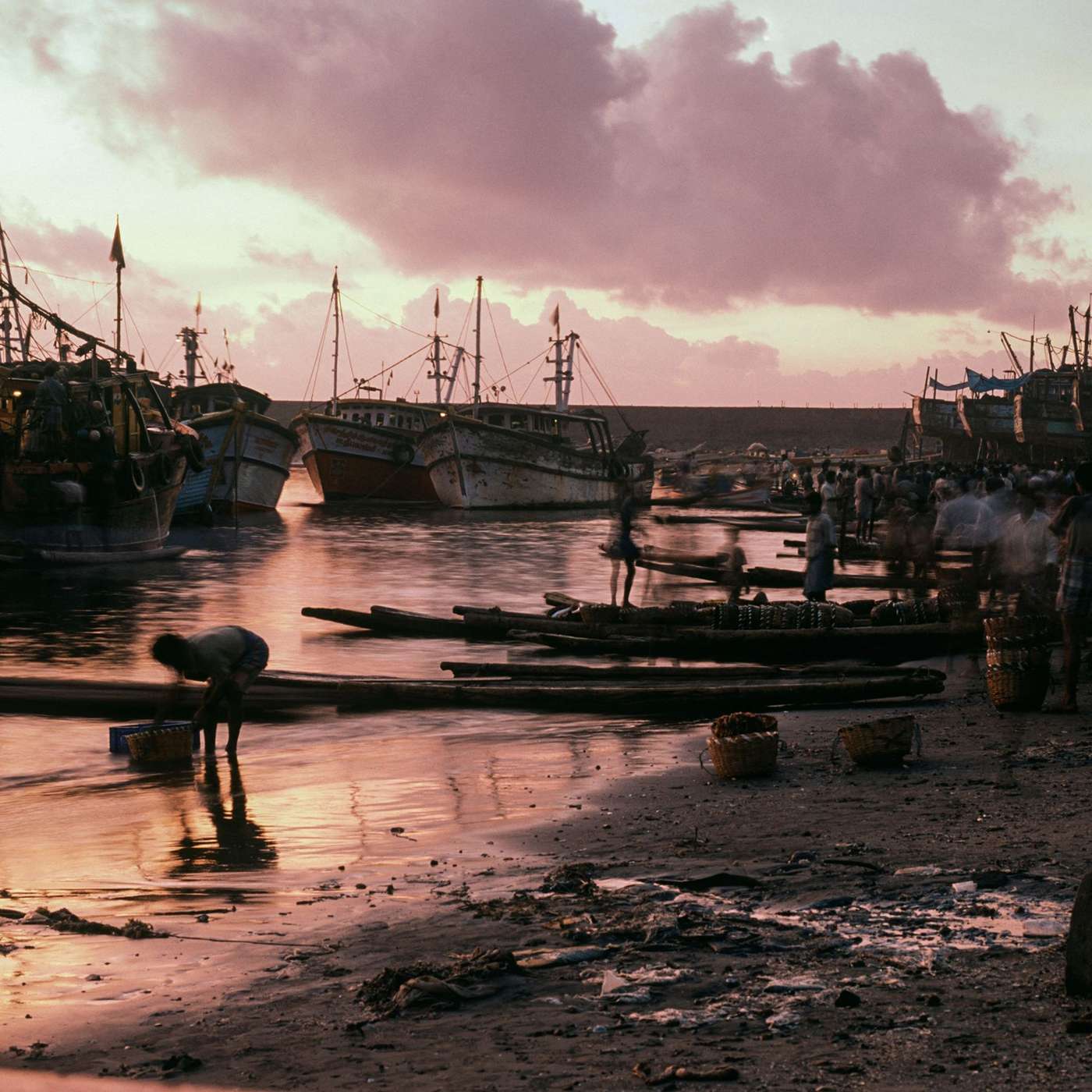 Living off a dying sea Living off a dying sea