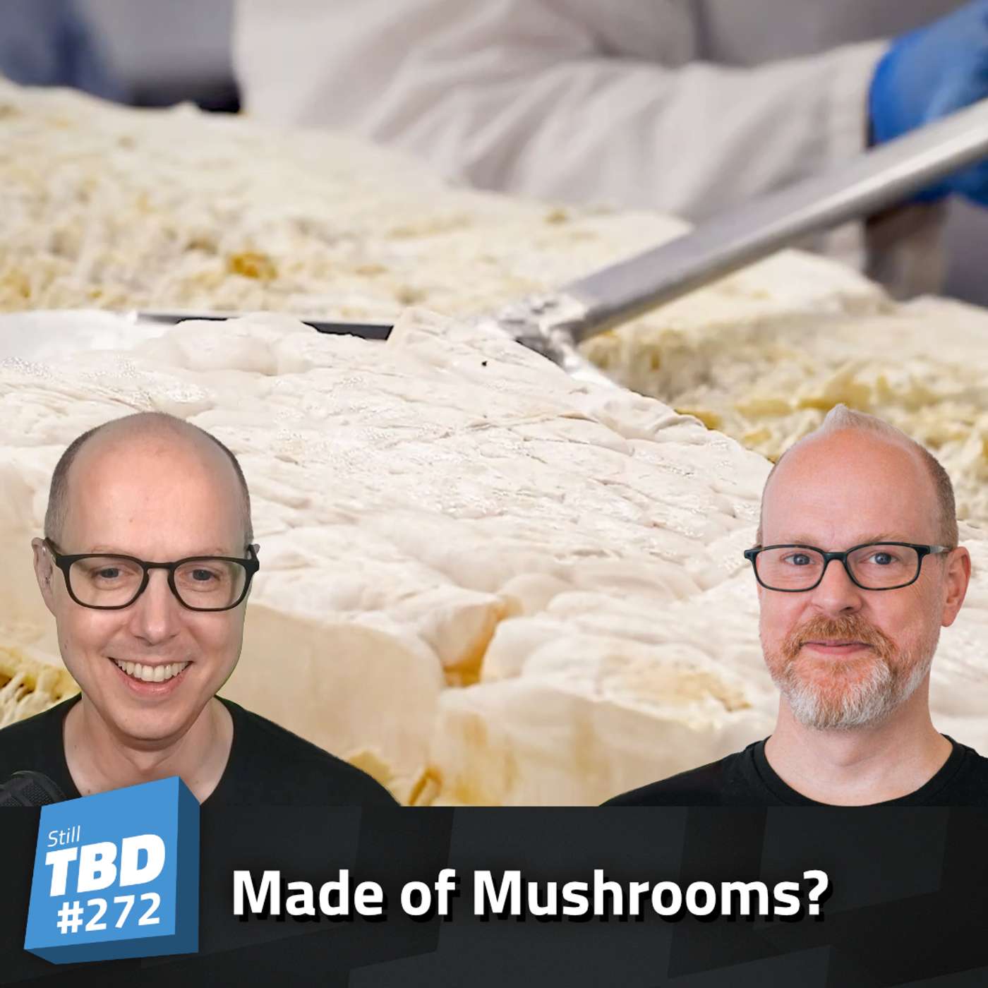 272: A Fungus Among Us 272: A Fungus Among Us