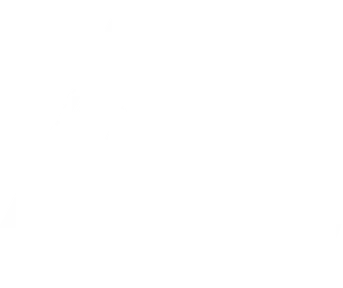 Digital Literacies and 21st Century Skills